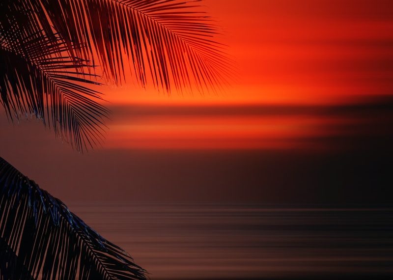 The Other Side of Paradise: Caribbean